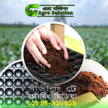 সীডলিং ট্রে